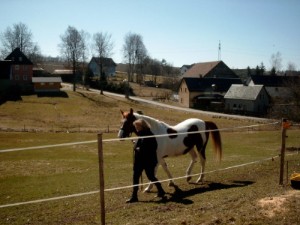 1st time in the paddock at home